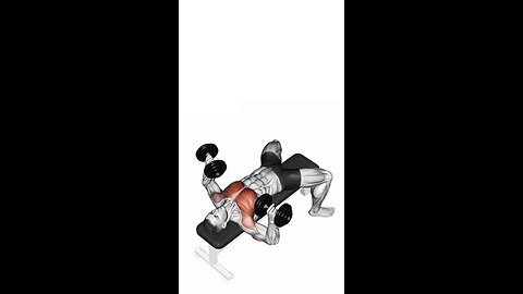Dumbbell Bench Press Exercise.