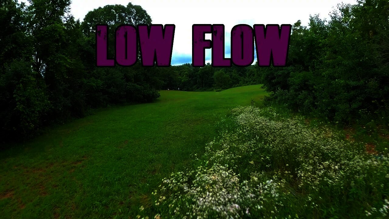 FPV Low Flow 5" Freestyle