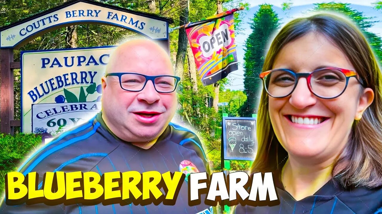 Blueberries, Blockbusters, and Bow-Tied Shopping