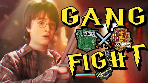 Harry Potter Gang Fight 💖💚