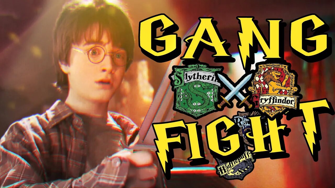 Harry Potter Gang Fight 💖💚