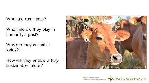 Ruminant Reality Check