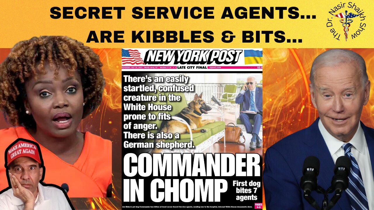COMMANDER iN MUTT Takes a Bite Out of BIDEN Crime Family - Agents Are Now TASTY Kibbles & Bits
