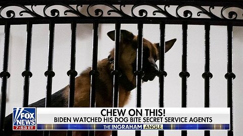 Commander Biden - Back In The Dog House?