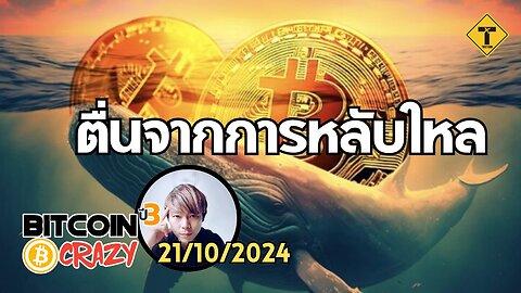 BitcoinCrazy 21/10/2024 : ตื่นจากการหลับใหล