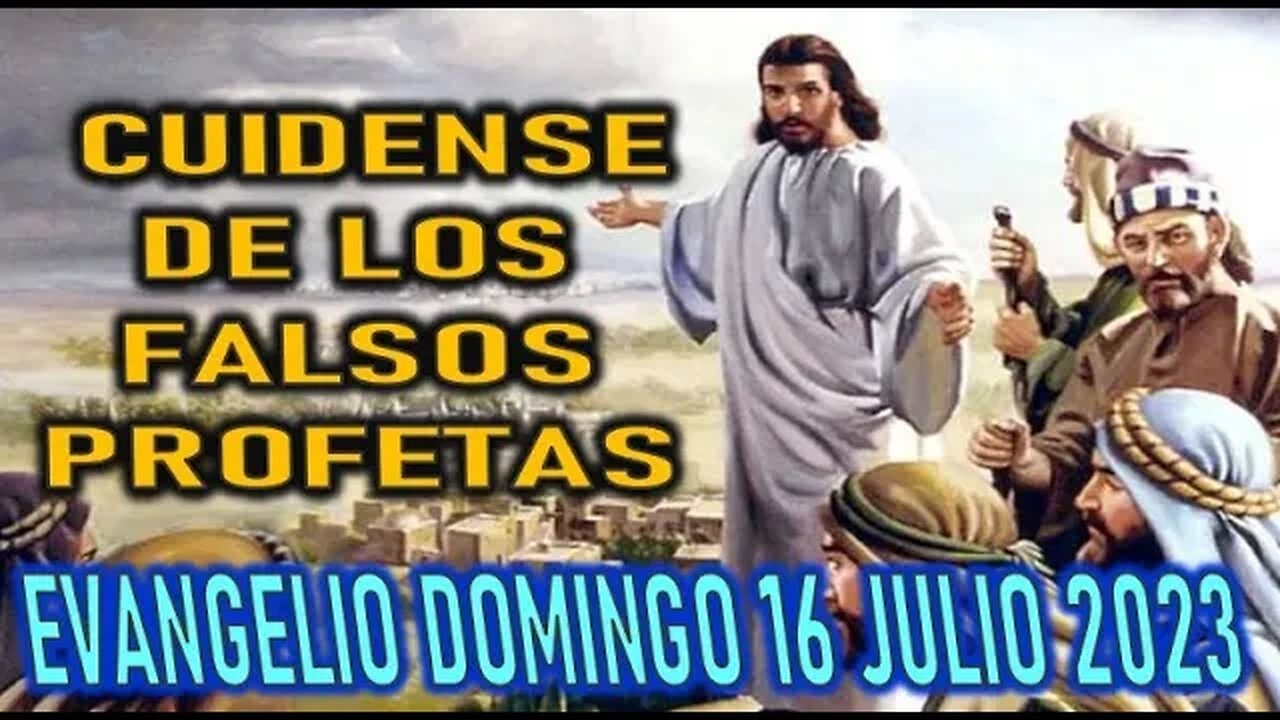 EL EVANGELIO DEL DÍA - CUIDENSE DE LOS FALSOS PROFETAS - DOMINGO 16 JULIO 2023