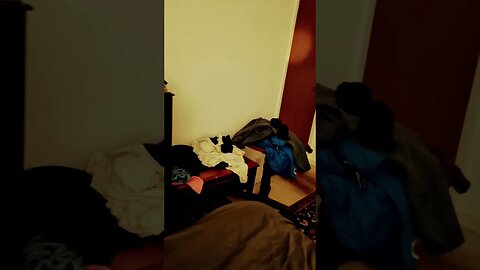 #veiws_viral_video_subscribers_grow #clip waking up soon for the day enjoy