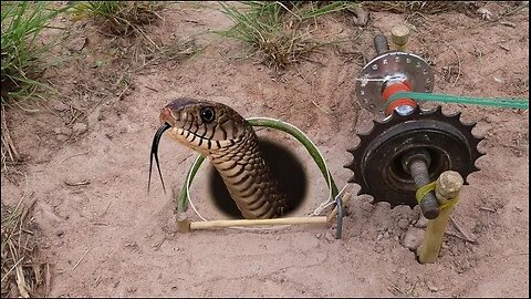 EASY SNAKE TRAP_ Installing Unique Quick Snake Trapping Using Bike Crank Work 100%