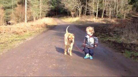 A Dog and a Cute Boy Best Friends