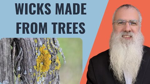 Mishna Shabbat Chapter 2 Mishnah 3 Wicks made from trees