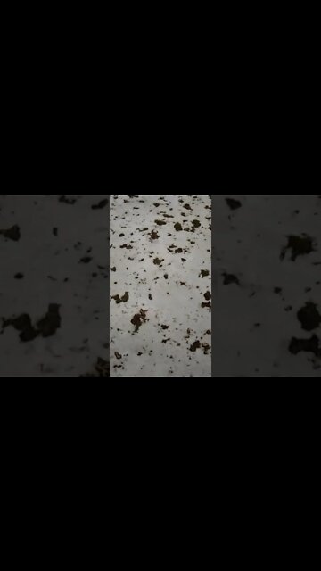 WELCOME TO THE NEW AGE