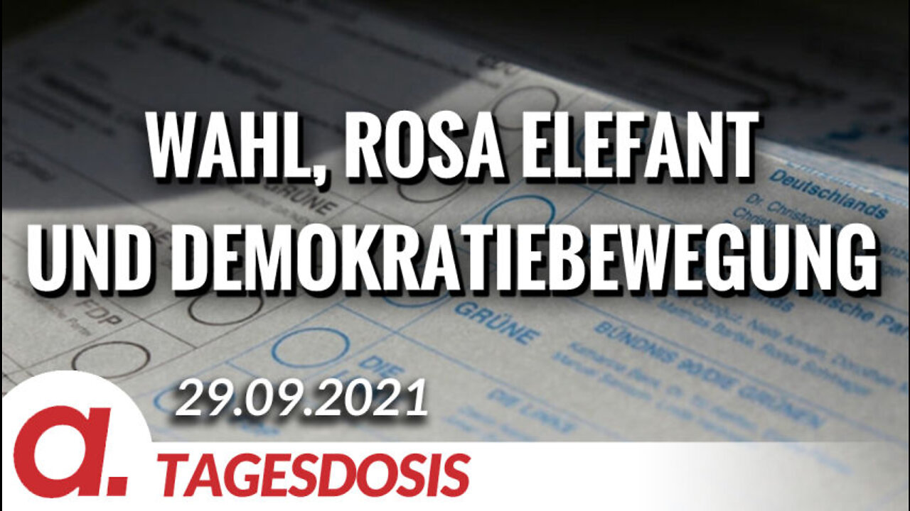 Die Wahl, der rosa Elefant und die Demokratiebewegung | Von Hendrik Sodenkamp