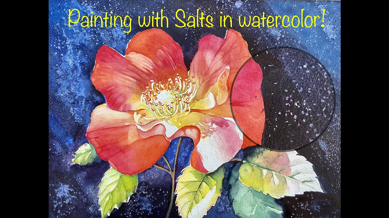 Rose Painting - With A Drop of Salt - Watercolor Painting - Salt Technique