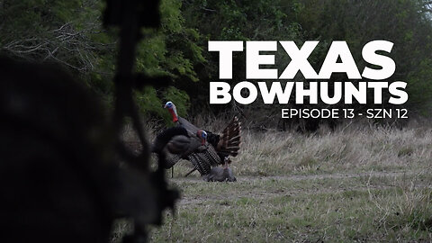 Bowhunting Turkeys in TEXAS!!