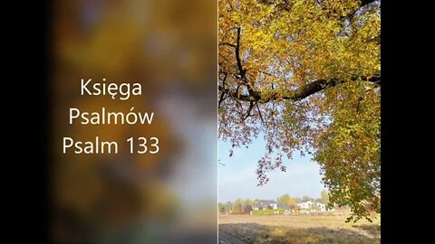 Księga Psalmów Psalm 133