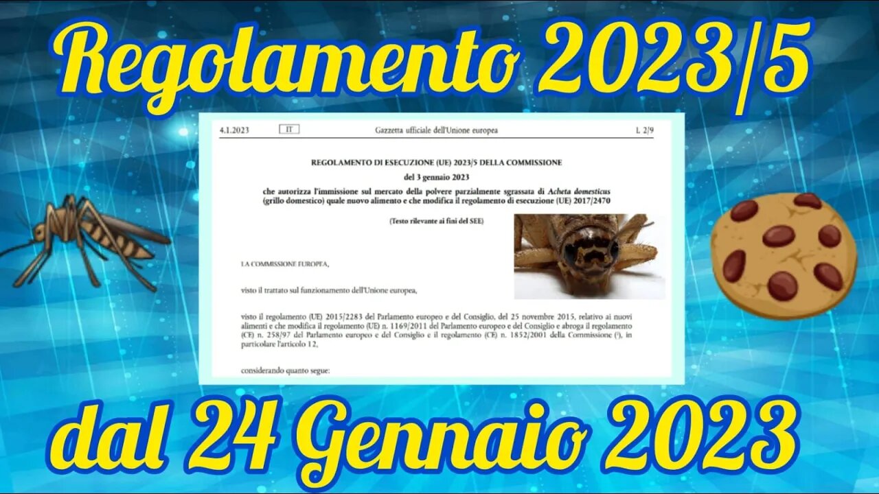 La UE ha autorizzato l'utilizzo dei grilli nella nostra alimentazione!