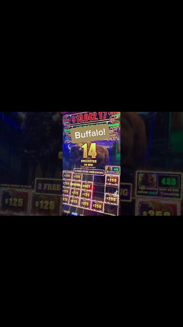 Bring Out The Buffalo! BIG Hand Pay! #shorts