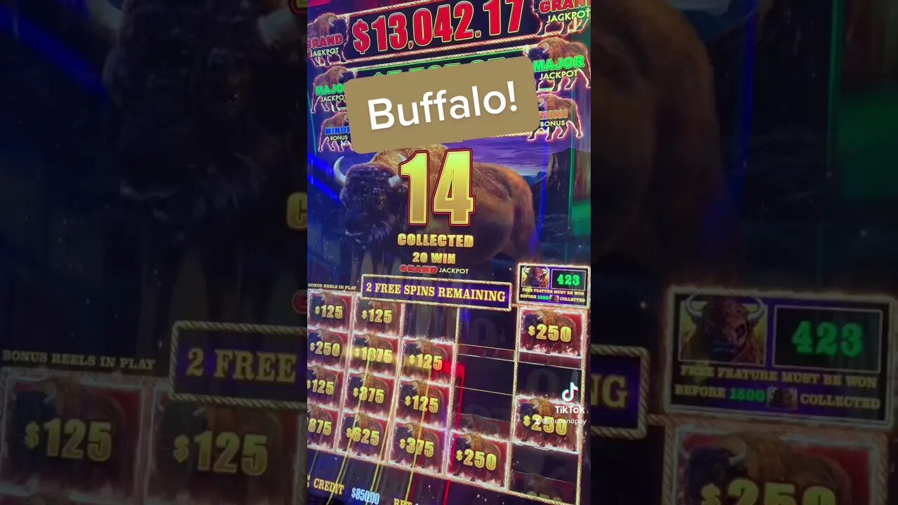 Bring Out The Buffalo! BIG Hand Pay! #shorts