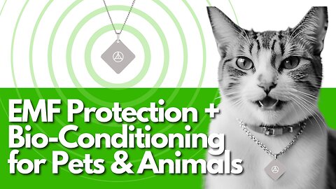 EMF Protection + Bio-Conditioning for Pets & Animals