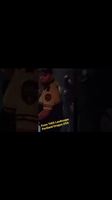 SECURITY w/Flashlight - From THIS Landscape (SUBSCRIBE)