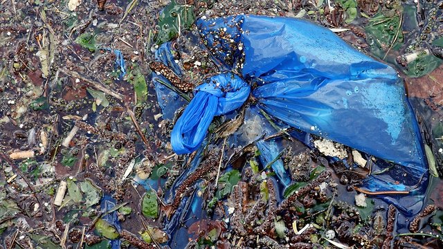 Chile To Become First South American Country To Ban Plastic Bags