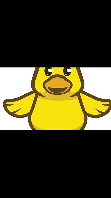 Rainy day Hen Runway Funny videos| Lovely Hen videos Pet Bird