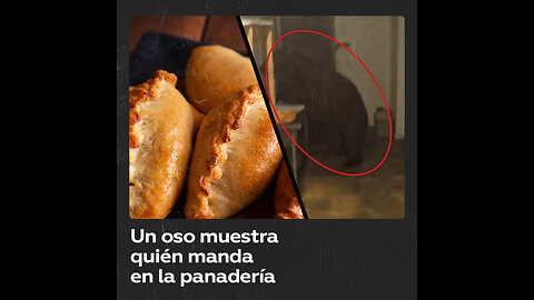 Un oso entra en una panadería y se come 125 pasteles