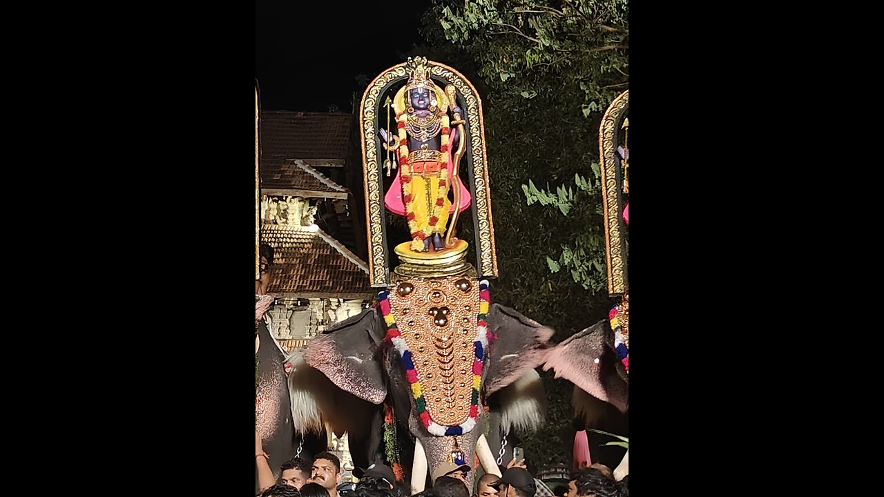 Elephant walk in beach/India/Kerala