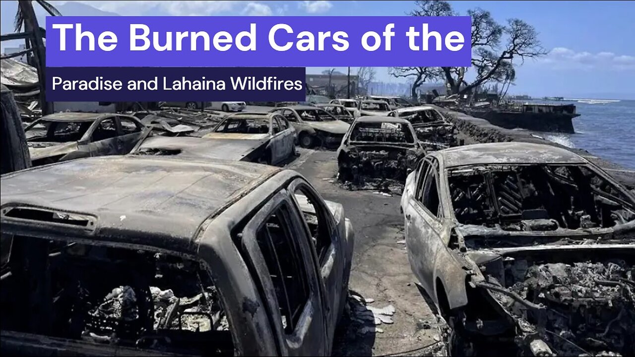 Shocking Video: The Burned Cars of the Paradise, California and Lahaina, Hawaii DEW Fires