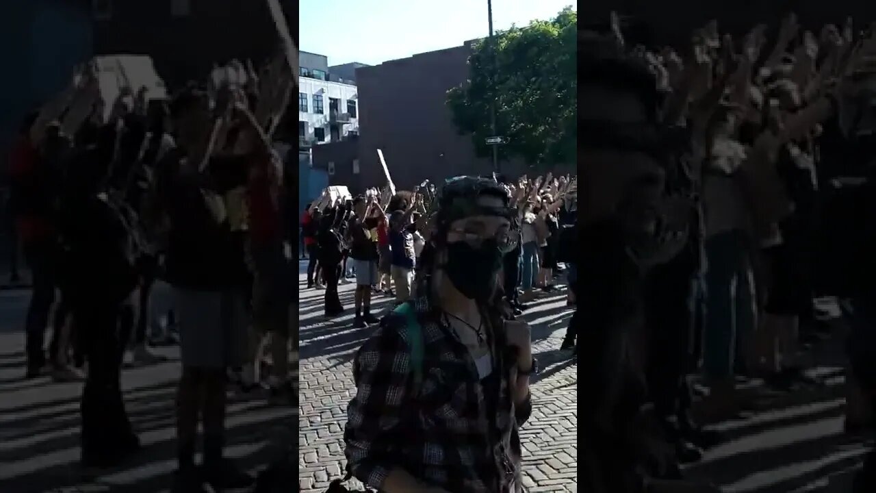 hands up dont shoot2