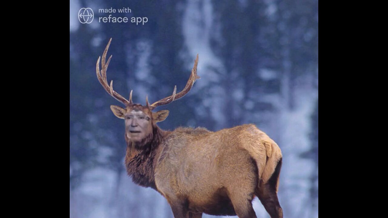 The Ultimate Joe Biden Elk Meme!