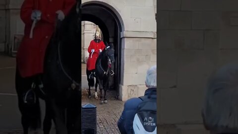 The kings guards horse playing up #horseguardsparade