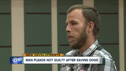 Man who smashed car window to rescue two dogs pleads not guilty