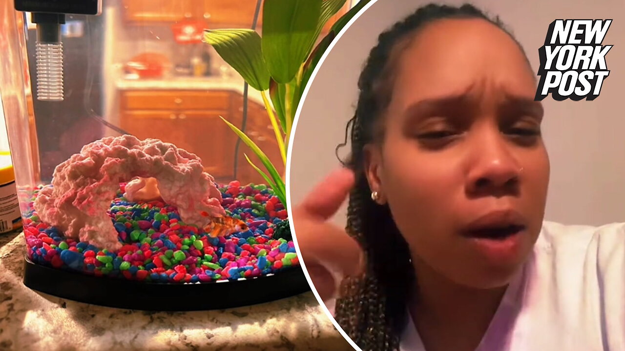 Mom blasts landlord for trying to charge $250 'pet fee' for a goldfish