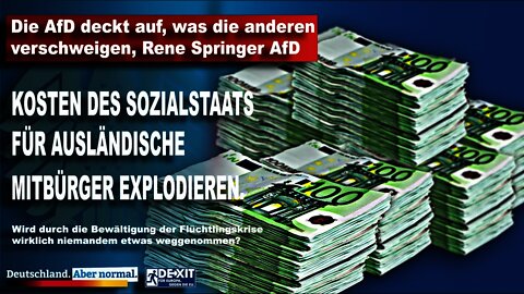 Die AfD deckt auf, was die anderen verschweigen, Rene Springer AfD