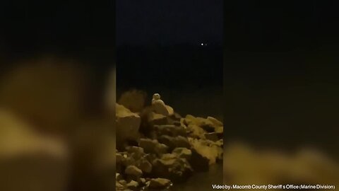 Snowy Owl Captured Swimming in Macomb Co.