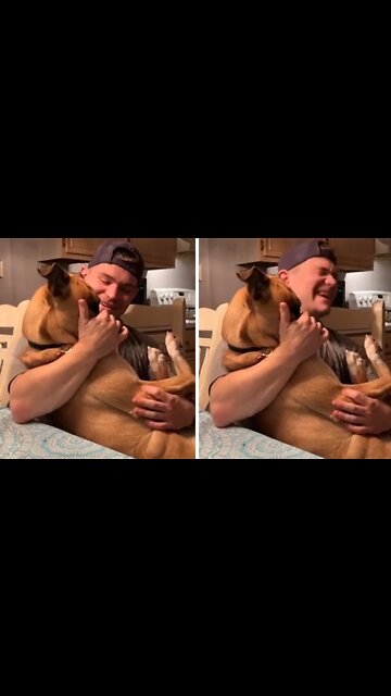 Sassy Pup Hilariously Back-talks Her Owner