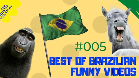 Brazilian Funny Compilation #005 Best Videos