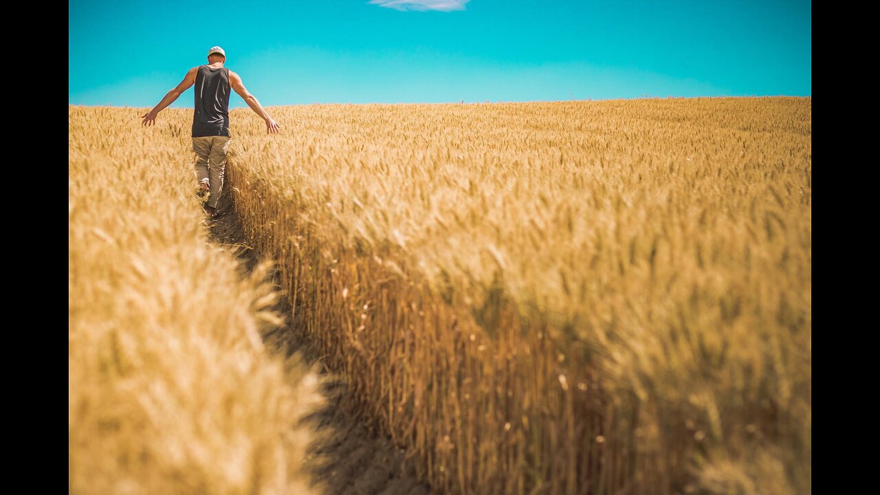 FOOD CRISIS COMING AS PROCESSING PLANTS BLOW UP & GATES BUYS FARM LAND..