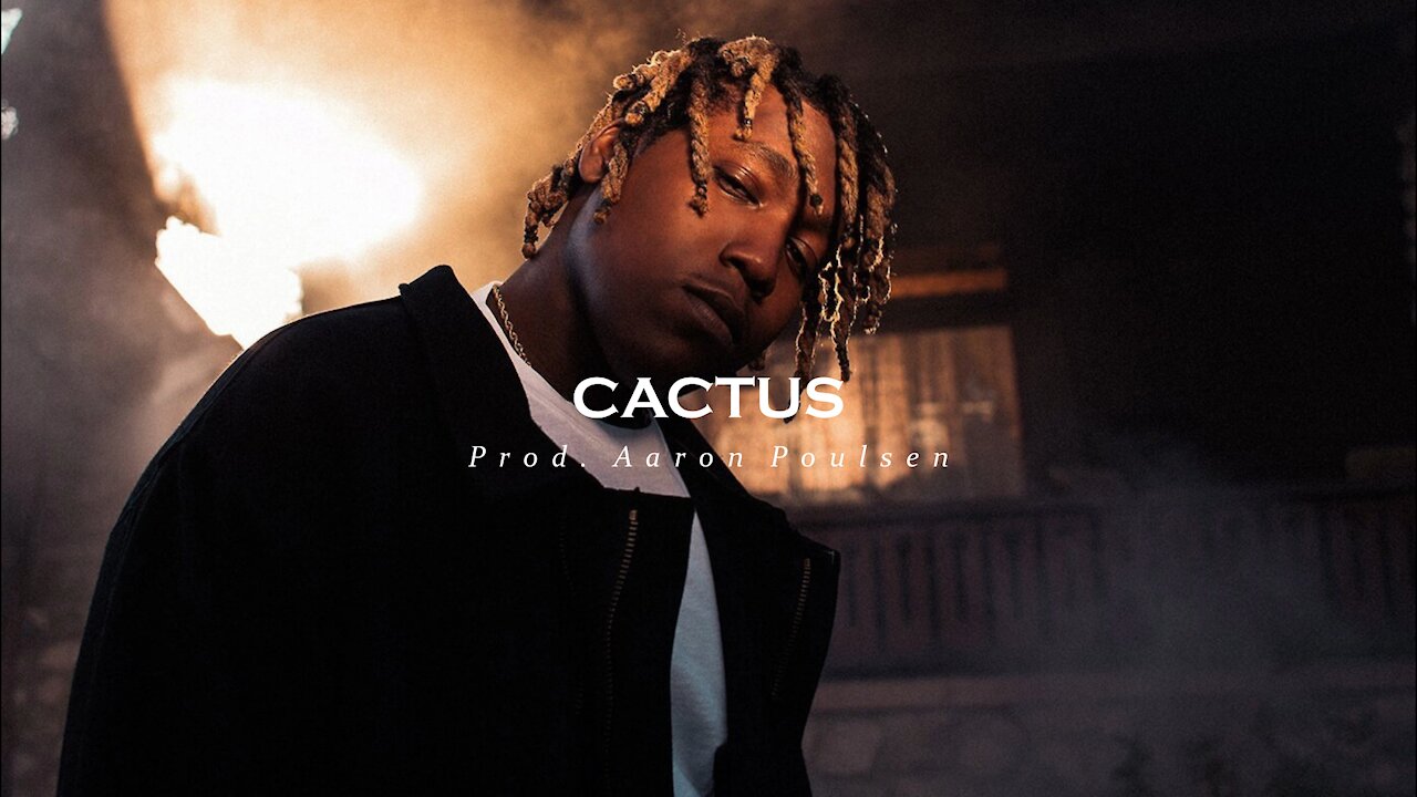 Don Toliver x Travis Scott Type Beat - Cactus [Prod. Aaron Poulsen]