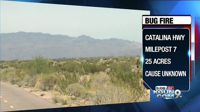 Bug Fire burning on Mt. Lemmon