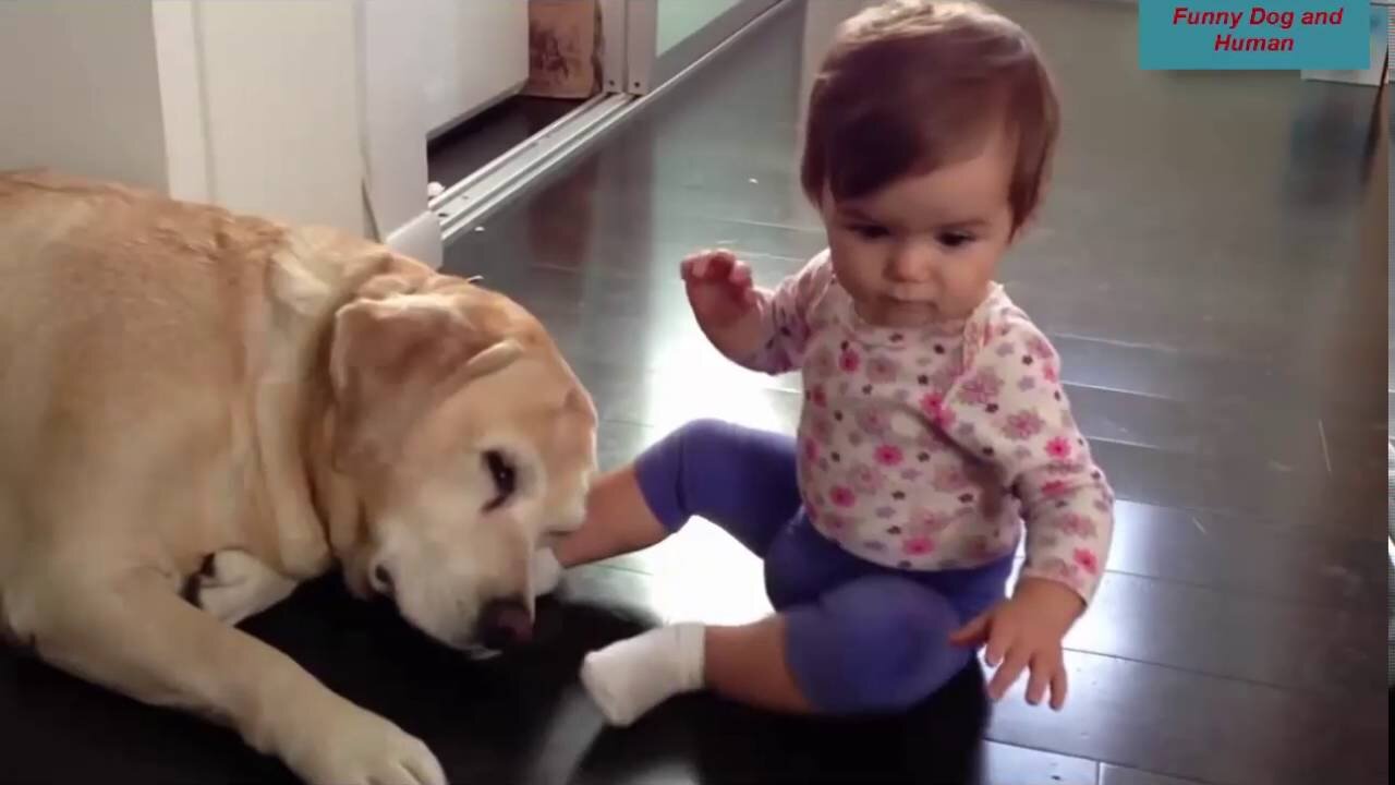 Baby and Dog very cute hot funny