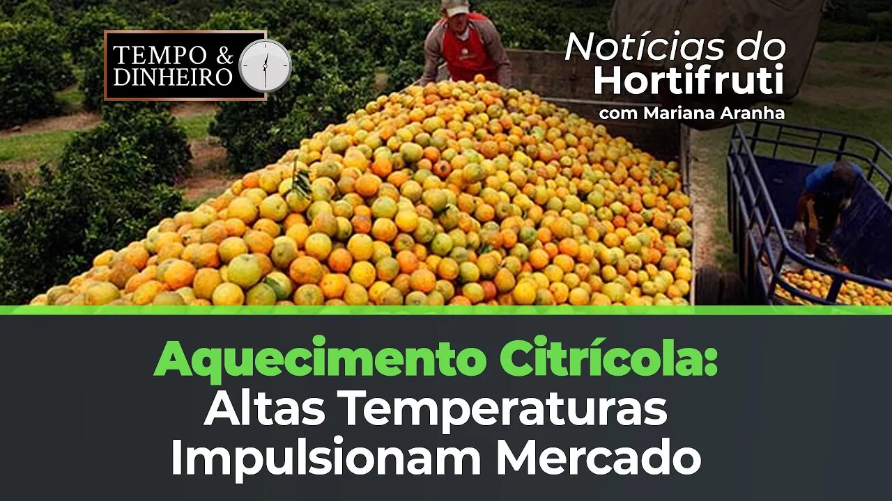 Temperaturas acima do normal aquecem mercado citros.
