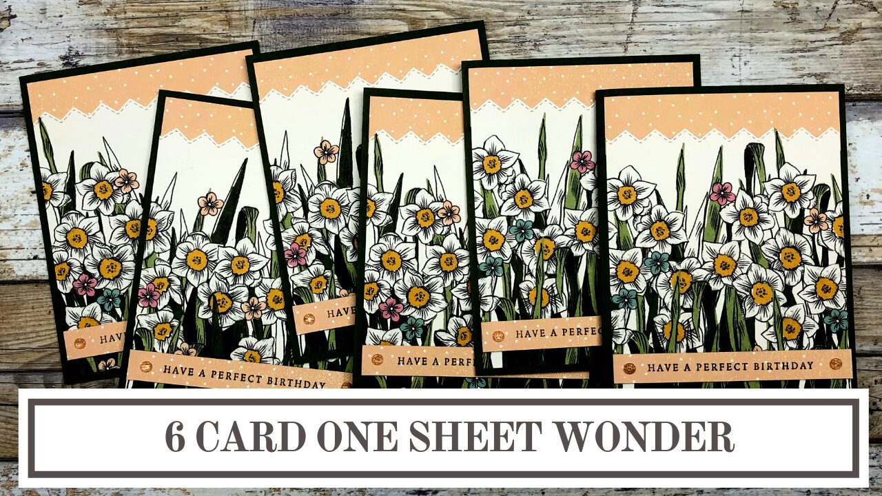 Daffodil Afternoon - 6 Card One Sheet Wonder Template