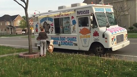 Pitbull Patiently Waits for Ice Cream Treat 🐕 💕