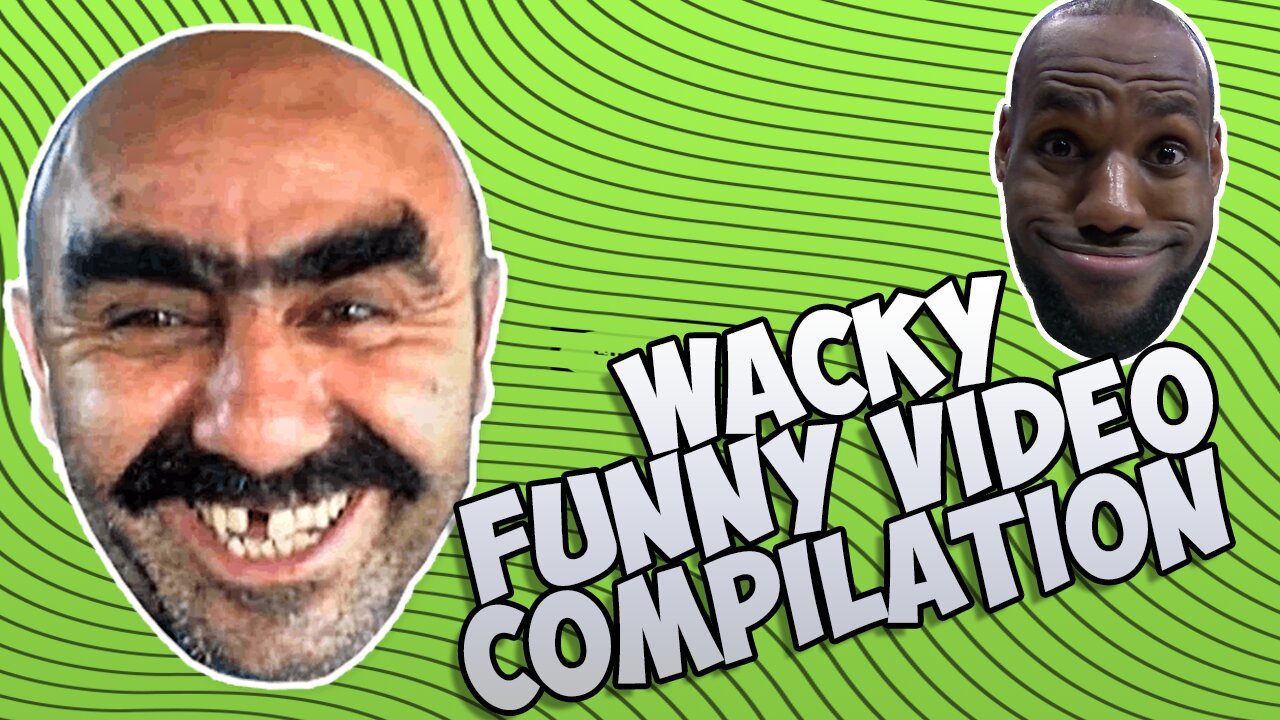 Wacky Funny Videos Compilation