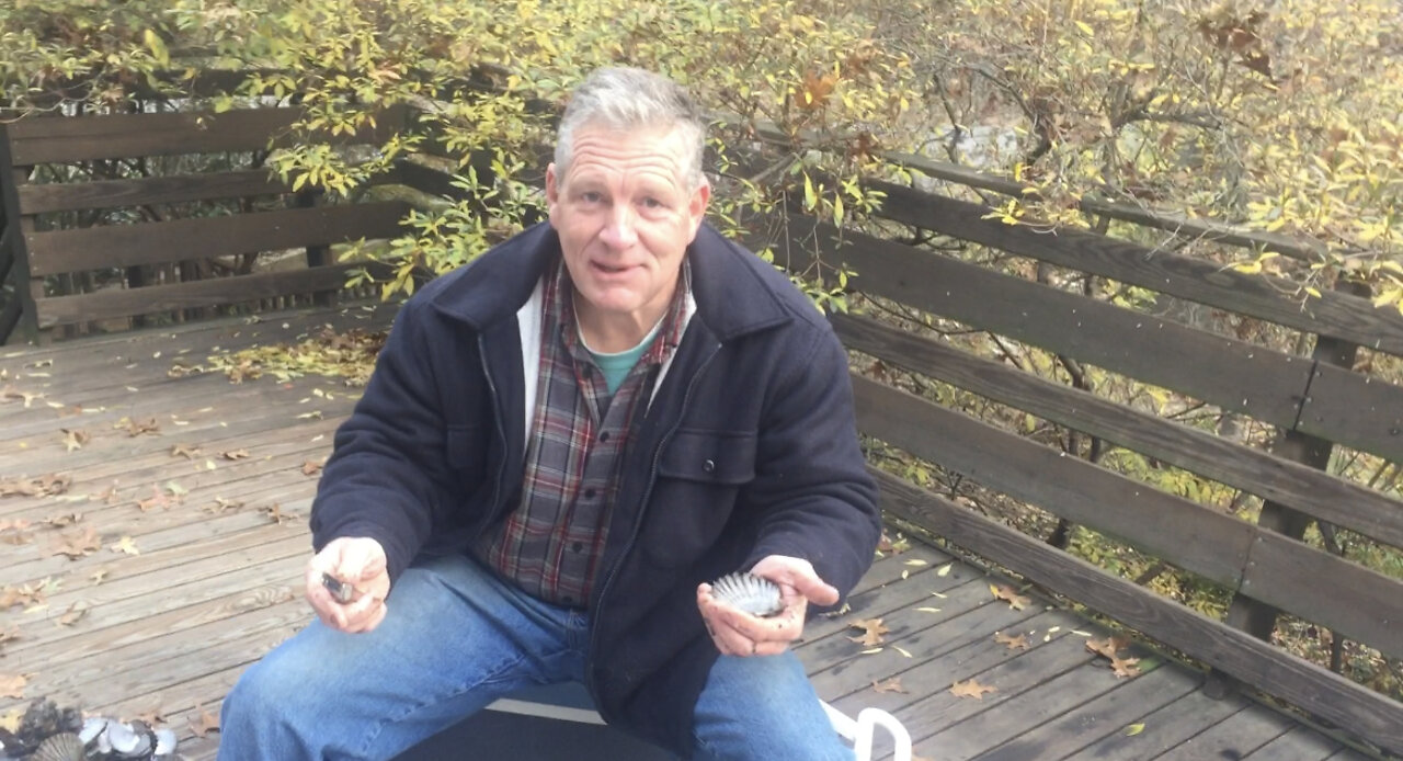 12/3/2017 Shucking Peconic Bay Scallops