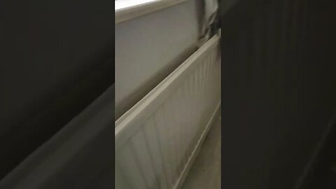 been a nice day again 😌 enjoy the clip, 👍 👍 and subscribe and comment 😀