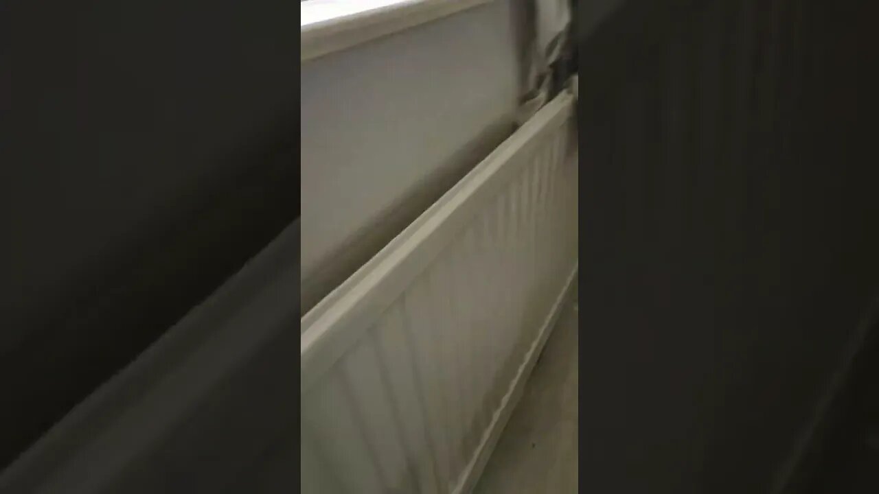 been a nice day again 😌 enjoy the clip, 👍 👍 and subscribe and comment 😀