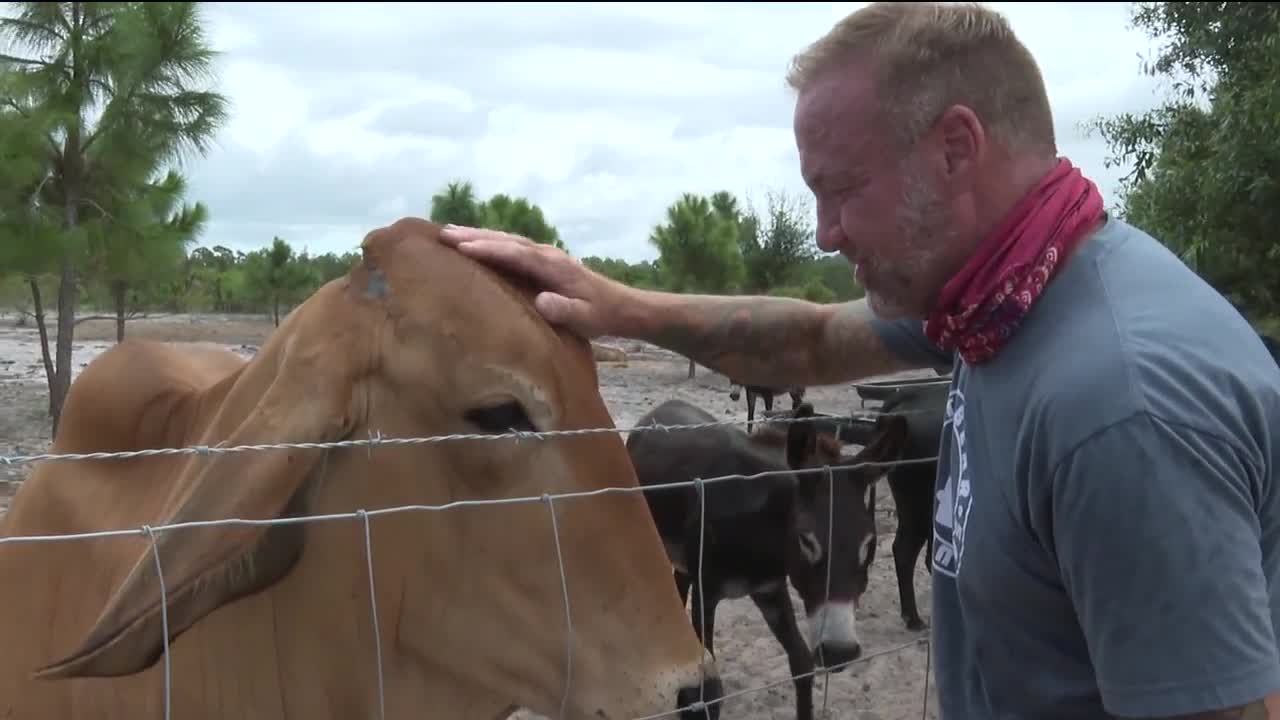 Punta Gorda man a 'GoFundMe Hero' for animal sanctuary